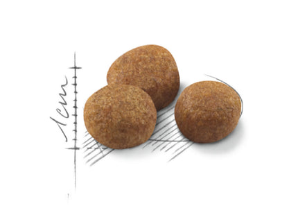 Royal Canin Sterilised 7+ – Ração para Gatos Adultos Castrados