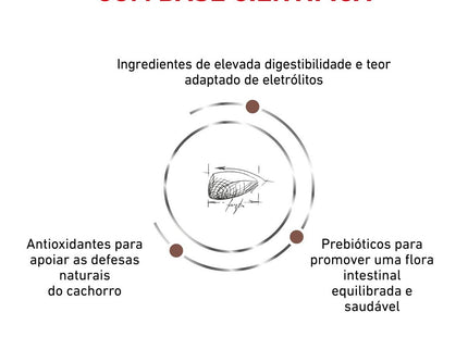 Royal Canin Veterinary Diet Gastrointestinal Puppy – Ração Seca para Filhotes com Sensibilidades Gastrointestinais
