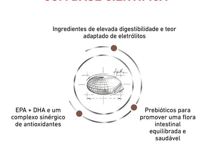 Royal Canin Veterinary Diet Gastrointestinal High Fibre Canine – Ração Seca para Cães Adultos com Sensibilidade Digestiva