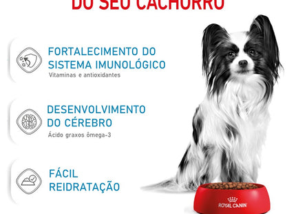 Royal Canin X‑Small Puppy – Ração Seca para Filhotes de Raças Muito Pequenas