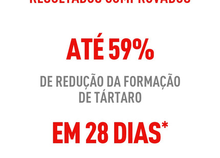 Royal Canin Dental Care – Ração Completa para Gatos Adultos