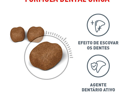 Royal Canin Dental Care – Ração Completa para Gatos Adultos