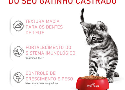 Royal Canin Kitten Sterilised Gravy Wet 85 g – Ração Úmida para Gatinhos Castrados