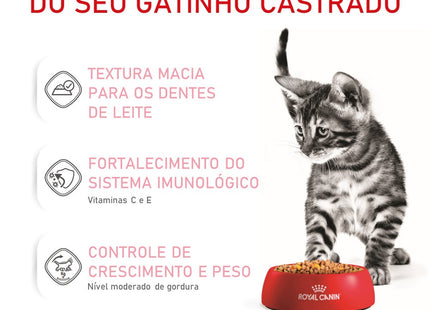 Royal Canin Kitten Sterilised Jelly Wet 85 g – Ração Úmida para Gatinhos Castrados