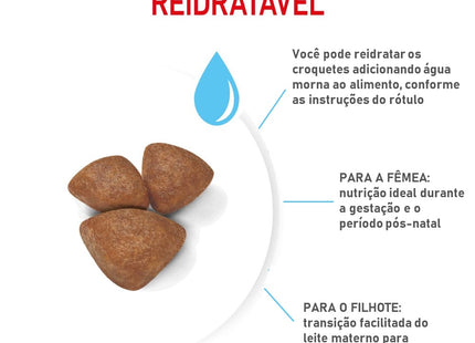 Royal Canin Mini Starter Mother & Babydog – Ração Seca para Fêmeas Gestantes/Lactantes e Filhotes Raças Pequenas