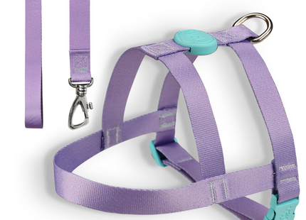 Conjunto Peitoral Tradicional e Guia Toh para Cães