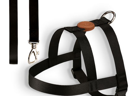 Conjunto Peitoral Tradicional e Guia Toh para Cães