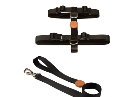 Conjunto Peitoral H e Guia Toh