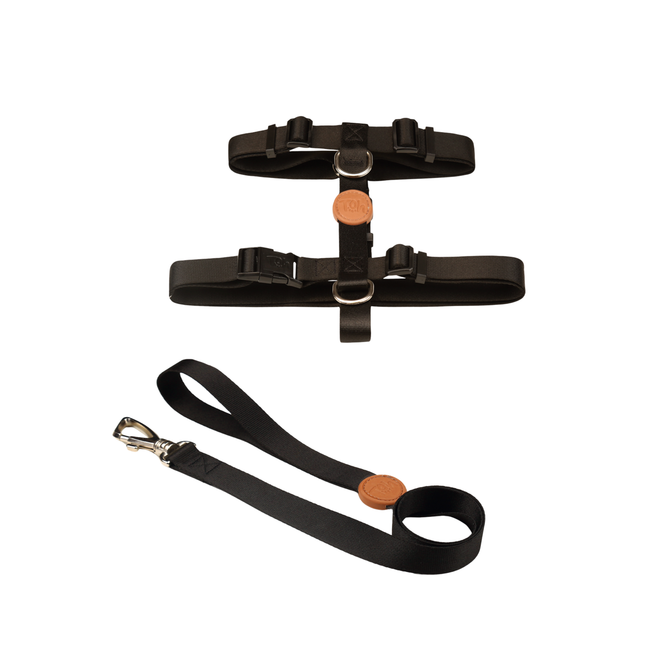 Conjunto Peitoral H e Guia Toh