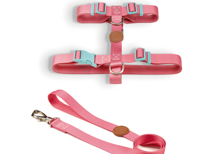 Conjunto Peitoral H e Guia Toh