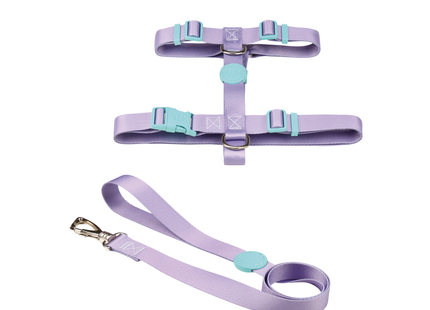 Conjunto Peitoral H e Guia Toh