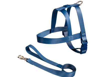 Conjunto Peitoral Tradicional e Guia Toh para Cães