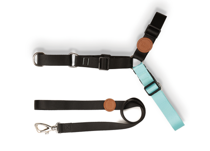 Conjunto Peitoral Antipuxão com Guia Toh para Cães