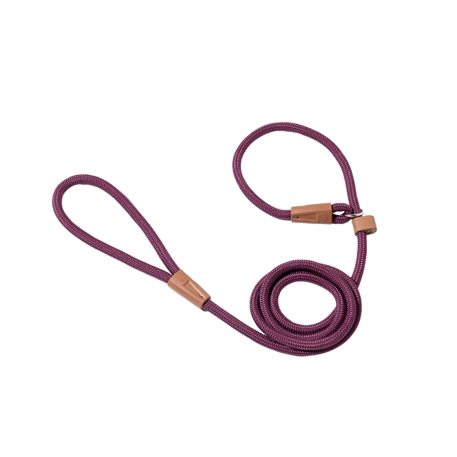 Conjunto Guia Unificada Toh