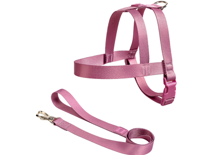 Conjunto Peitoral Tradicional e Guia Toh para Cães