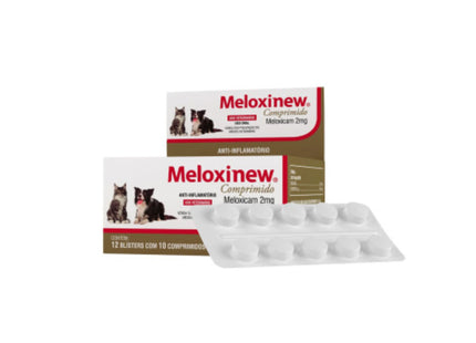 Meloxinew C/10 Comp