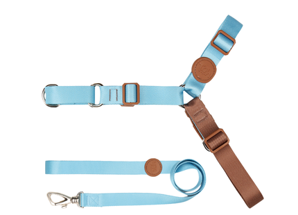 Conjunto Peitoral Antipuxão com Guia Toh para Cães