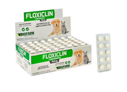Antibiótico Floxiclin para Cães e Gatos