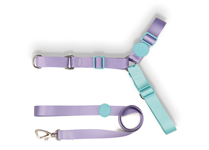 Conjunto Peitoral Antipuxão com Guia Toh para Cães