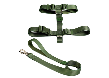 Conjunto Peitoral H e Guia Toh