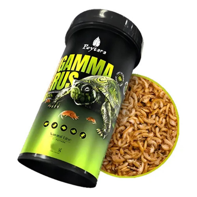 Poytara Gammarus – Alimentação Natural / Petisco Proteico