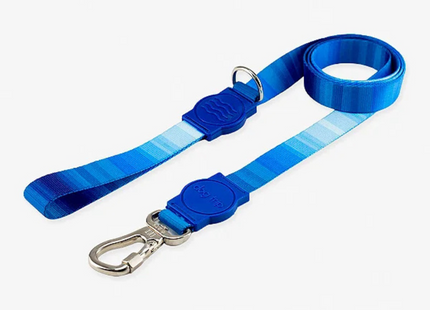 Guia Premium Maldives Dog Trip Brasil – P