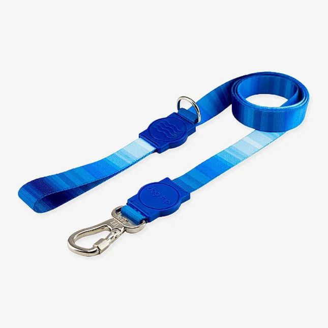 Guia Premium Maldives Dog Trip Brasil – P