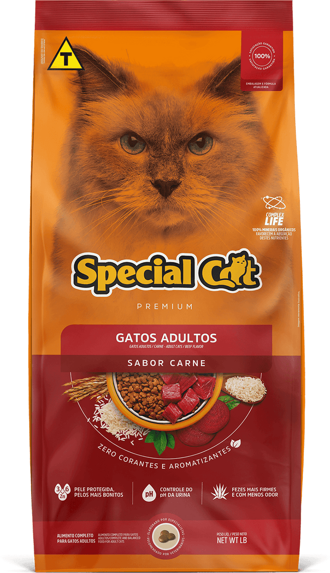 Special Cat Adultos