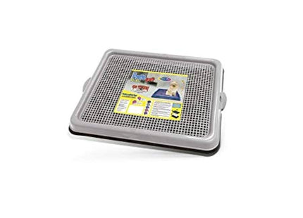 Mordedor Agrodog Bola PVC com Cravo para Cães