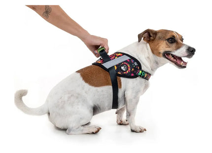 Peitoral Anymous H. Lumini para Cachorros
