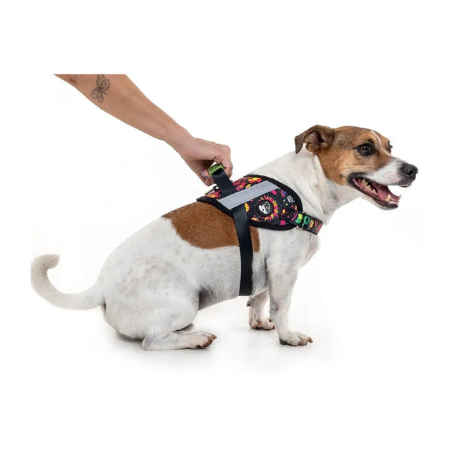 Peitoral Anymous Power Up Green Camouflage M para Cachorros