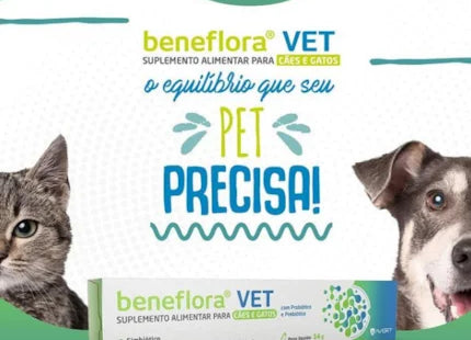 Imagem do produto Suplemento Avert Beneflora Vet 14g para Cães e Gatos, tipo Suplemento, marca Avert.