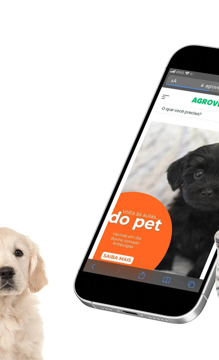 <h3>FAÇA SEU CADASTRO E GERENCIE A SUA<br/> COMPRA PROGRAMADA:<br/><br/></h3>