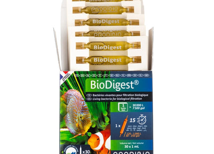 Px Bio Digest Ampola