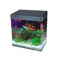 Aquário Boyu Curvo EC-400 33L para Peixes Ornamentais