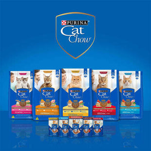 Ração Seca Cat Chow Carne para Gatos Adultos de Porte Pequeno
