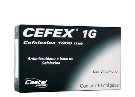 Antibiótico Cefex 1g para Cães e Gatos