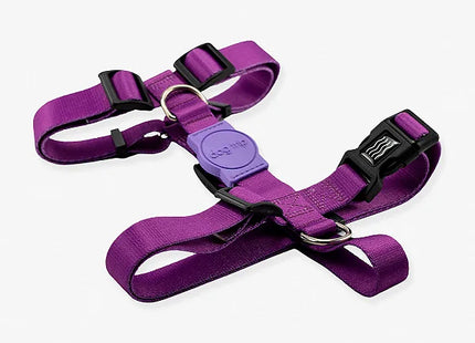 Peitoral H Classic Purple Dog Trip Brasil – Tamanho G