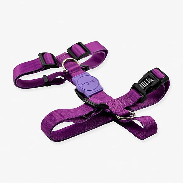 Peitoral H Classic Purple Dog Trip Brasil – Tamanho G