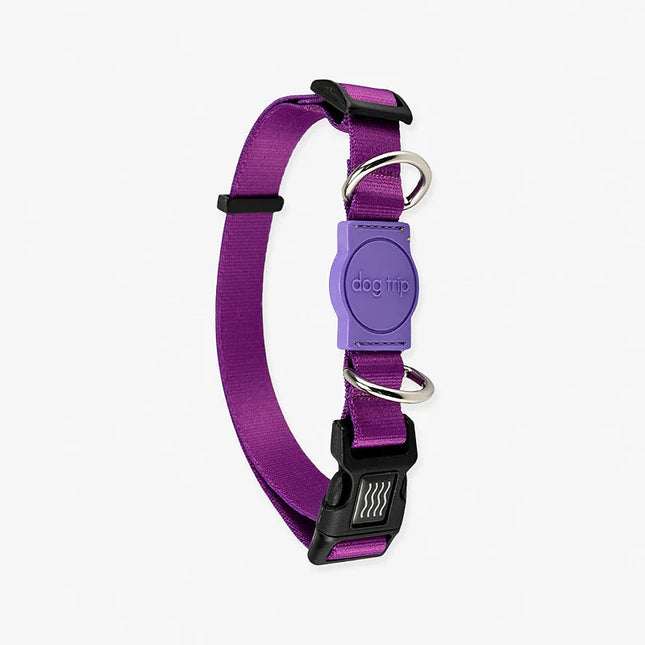 Coleira Premium Classic Purple Dog Trip Brasil – Tamanho M