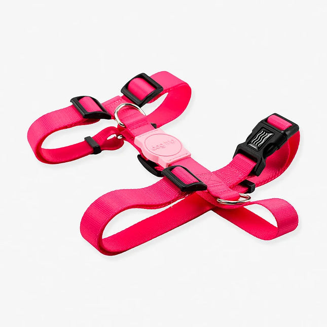 Peitoral H Classic Rose Dog Trip Brasil – P