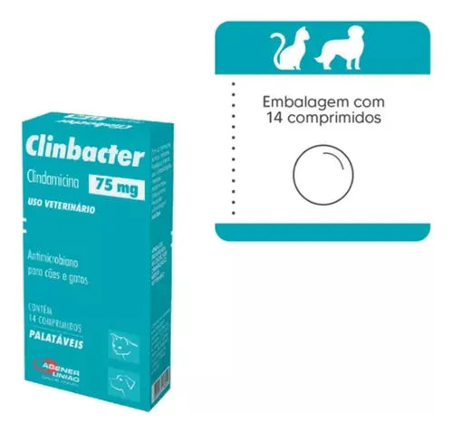Antibiótico Clinbacter 75mg para Cães