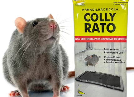 Cola Colly Blue Glue