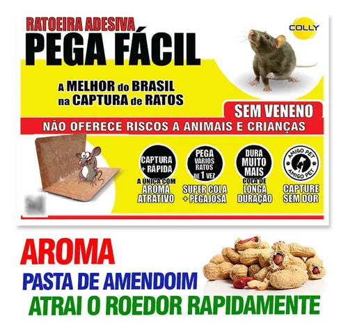 Porta Isca Colly Química com Chave para Ratos
