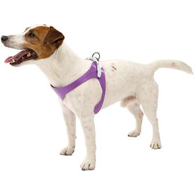 Peitoral Ferplast Agila Fluo 3 para Cachorros