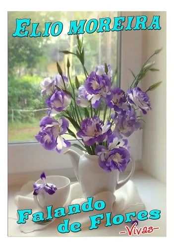Semente Flores Vivas Philodendron Minima