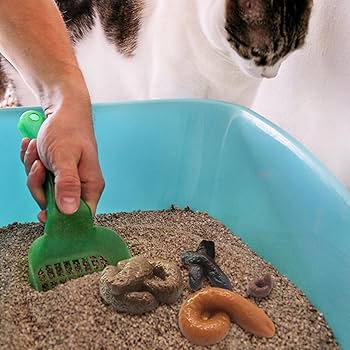 Casa Furacão Pet Iglu Nº5 para Cães e Gatos
