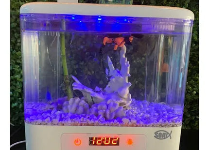 Aquário Generico 1/2 Lua com Boia para Peixes Ornamentais