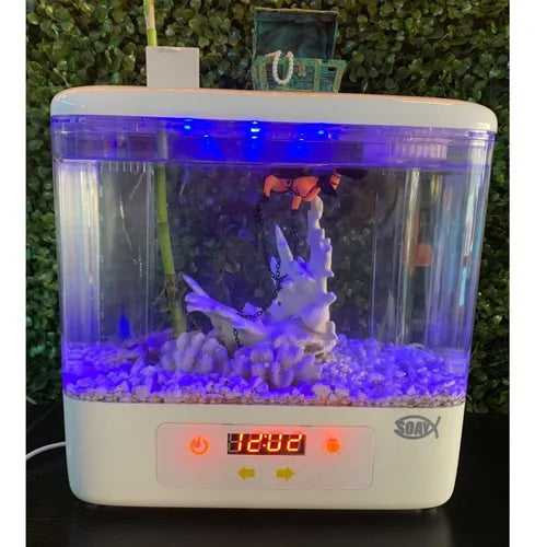 Aquário Generico Beteira Casinha com Massa para Peixes Ornamentais