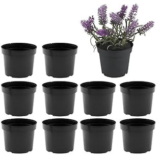 Imagem de vasos pretos para plantas, alinhados em duas fileiras.
